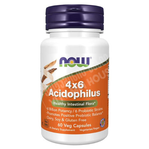 NOW - 4x6 Acidophilus - 60 vcaps 